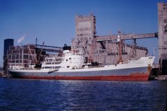 Thumbnail Image for Almerian