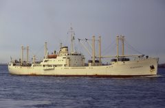 Thumbnail Image for Anastassia