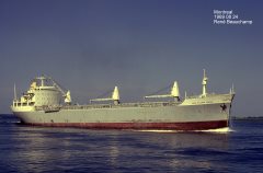 Thumbnail Image for Anne Mildred Brovig