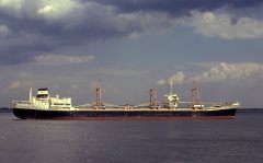 Thumbnail Image for Argonaftis