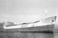 Thumbnail Image for Barkand