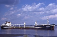 Thumbnail Image for Belforest