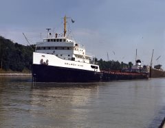 Thumbnail Image for Golden Hind