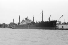 Thumbnail Image for Ocean Intrepid oncontextmenu=