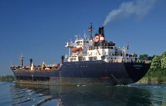 Thumbnail Image for Algocatalyst