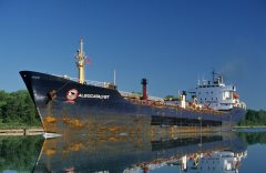 Thumbnail Image for Algocatalyst