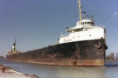 Thumbnail Image for Heron Bay