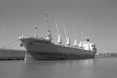 Thumbnail Image for Presidente Allende