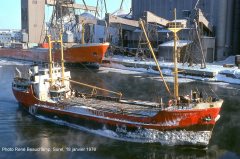 Thumbnail Image for Fort Lévis