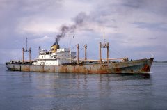 Thumbnail Image for Castalia