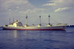 Thumbnail Image for Centaurus