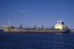 Thumbnail Image for Clymenia