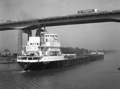 Thumbnail Image for Pineglen