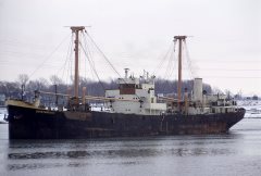 Thumbnail Image for Constantinos