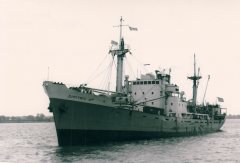 Thumbnail Image for Dimitris N. oncontextmenu=