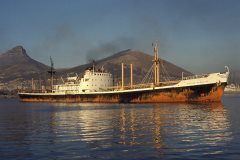 Thumbnail Image for Dorine Papalios oncontextmenu=