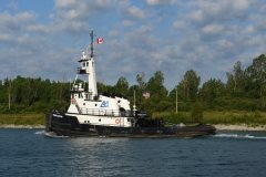 Thumbnail Image for Meredith Ashton