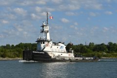 Thumbnail Image for Meredith Ashton