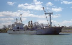 Thumbnail Image for Penalara