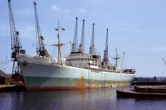 Thumbnail Image for El Kanemi