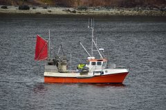 Thumbnail Image for Auknes