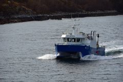 Thumbnail Image for Stokken