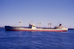 Thumbnail Image for Elphine