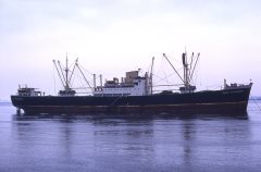 Thumbnail Image for Emma Methenitis