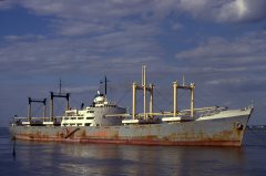 Thumbnail Image for Enotis