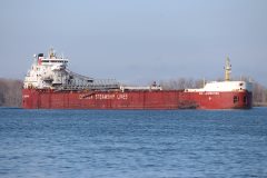 Thumbnail Image for CSL Laurentien