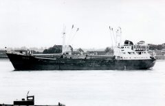 Thumbnail Image for Felto