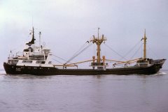 Thumbnail Image for Flut