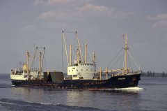 Thumbnail Image for Friborg