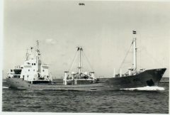 Thumbnail Image for Gol