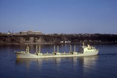 Thumbnail Image for Grey Master