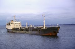 Thumbnail Image for Hassel