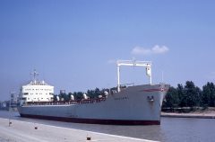 Thumbnail Image for Havjarl