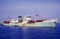 Thumbnail Image for Herbert Macaulay