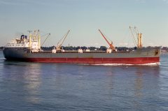 Thumbnail Image for Husaro