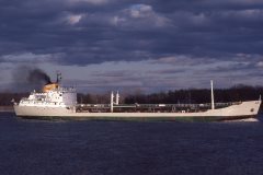 Thumbnail Image for Irving Ours Polaire