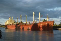 Thumbnail Image for Jalanta