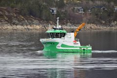 Thumbnail Image for Multi Supporter