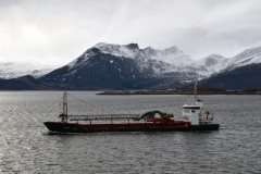 Thumbnail Image for Nidaro