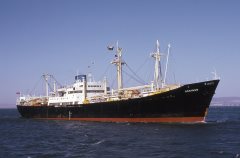 Thumbnail Image for Kohinur oncontextmenu=