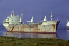 Thumbnail Image for Kristin Brovig oncontextmenu=