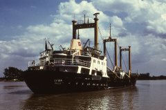 Thumbnail Image for Lina