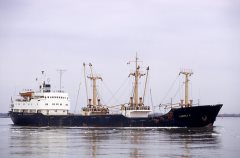 Thumbnail Image for Ludmila C.