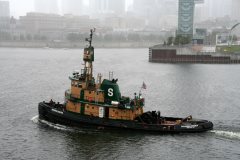 Thumbnail Image for Maureen Regina