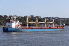 Thumbnail Image for Nord Montreal