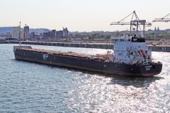 Thumbnail Image for G3 Marquis